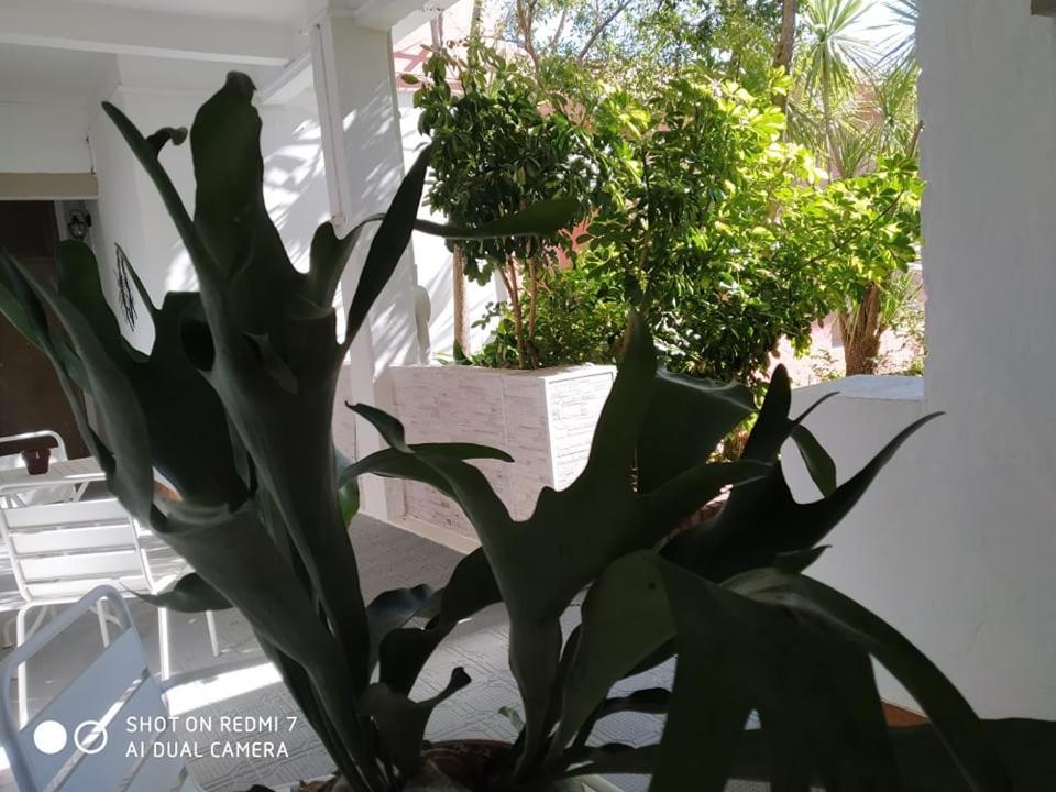 Hosteria Uruguay Piriápolis 外观 照片