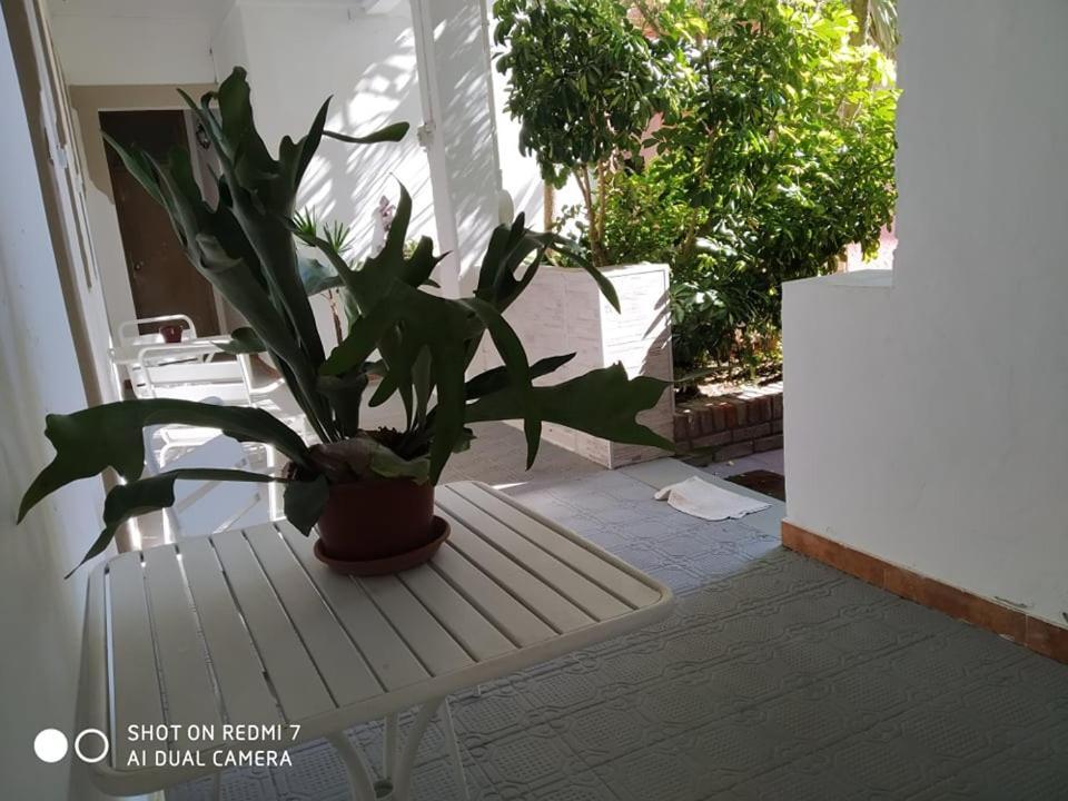 Hosteria Uruguay Piriápolis 外观 照片