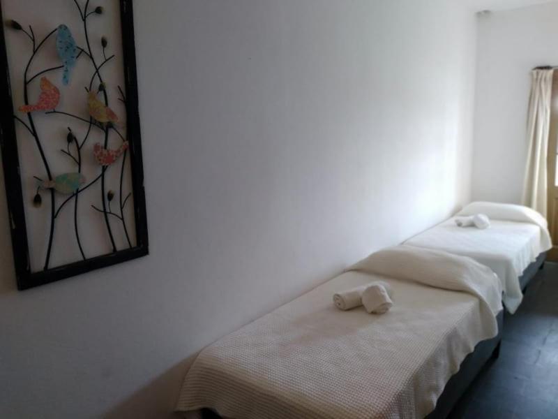 Hosteria Uruguay Piriápolis 外观 照片
