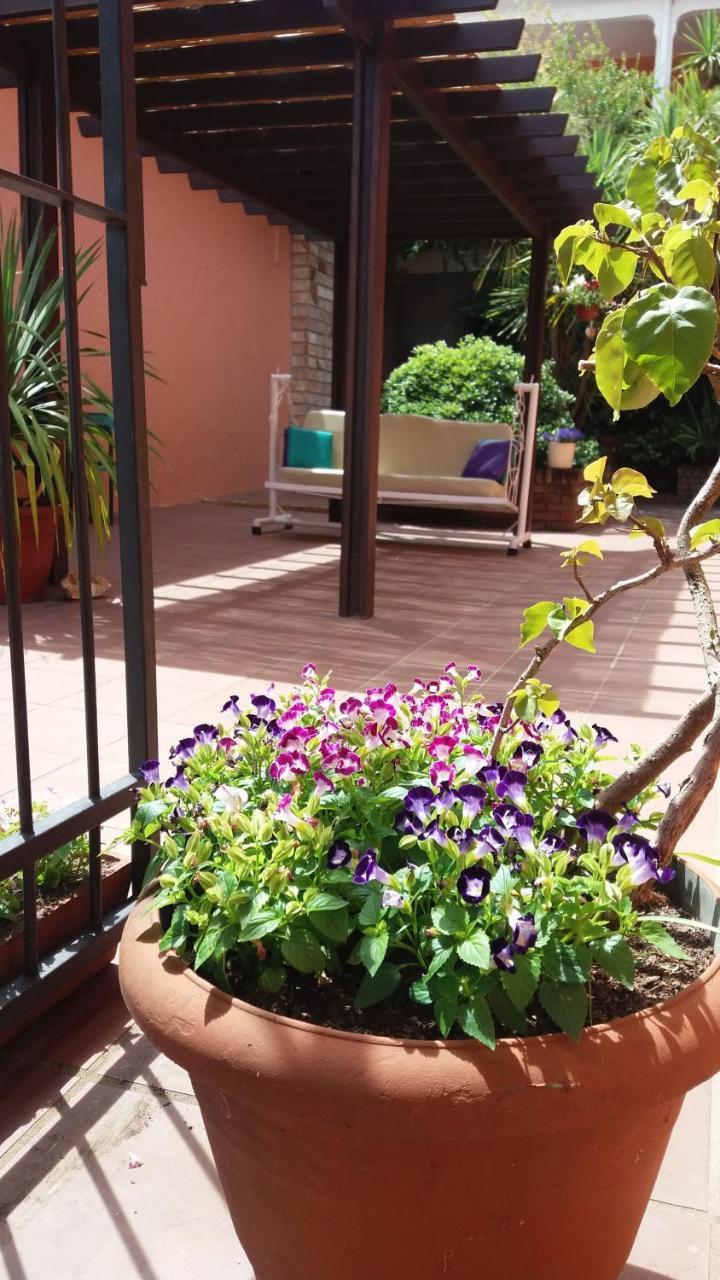 Hosteria Uruguay Piriápolis 外观 照片